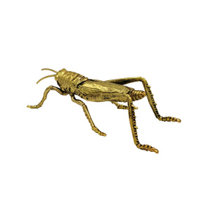 Grasshopper