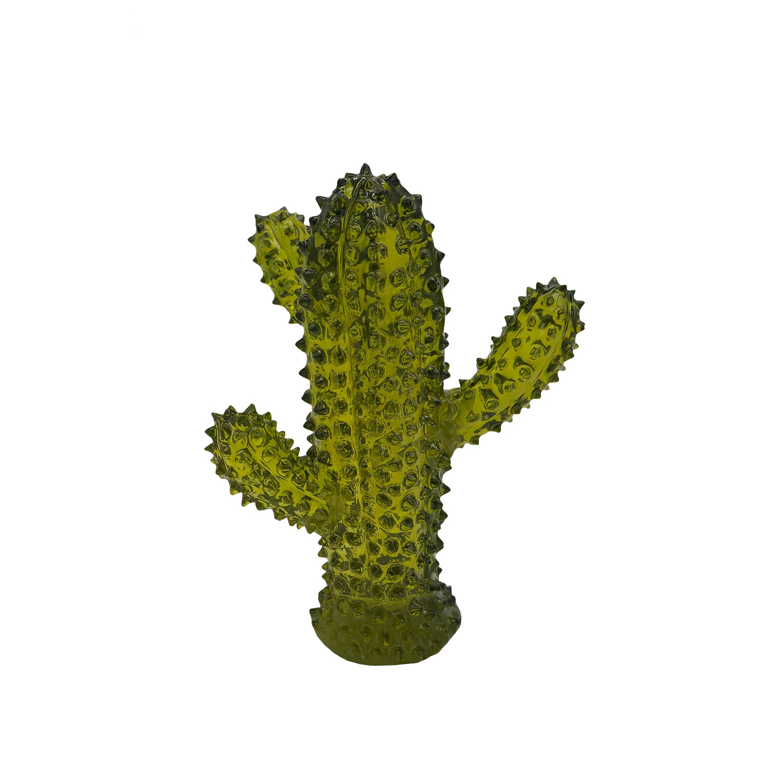 Cactus | Green