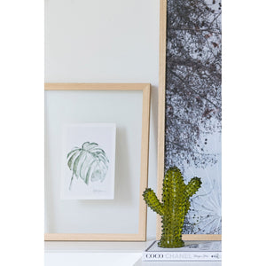 Cactus | Green