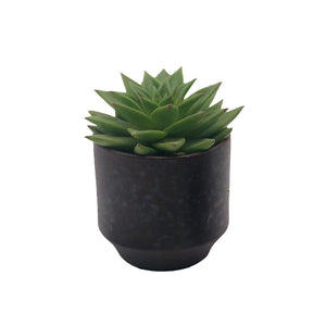 Maroon Planter Medium