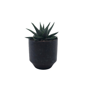 Maroon Planter Small